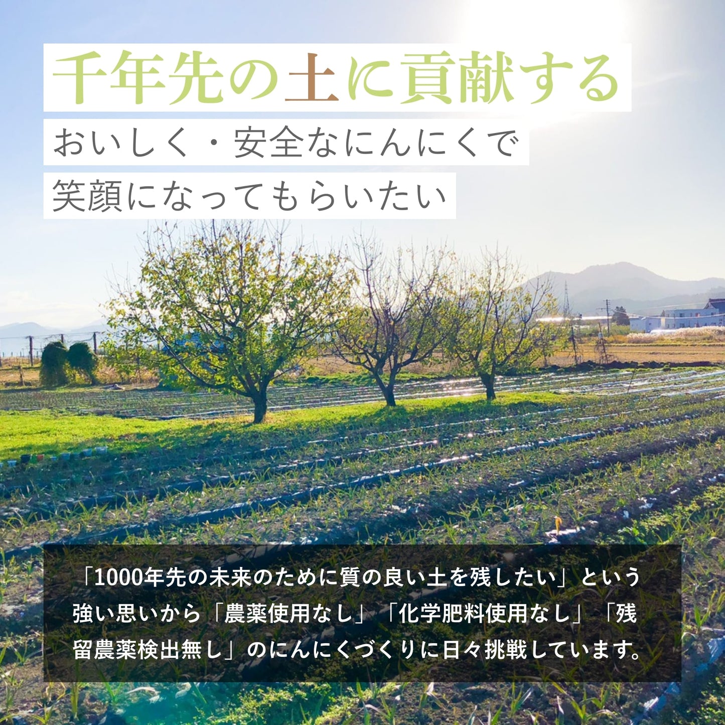 【定期おトク便だと割引率最大】PURÉE HONEY 90包(30包×3袋)